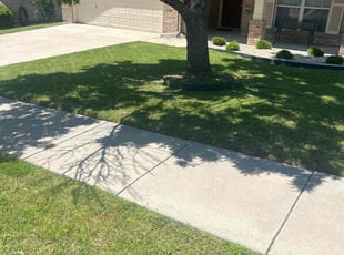 Ginger R.'s lawn maintenance service result