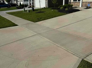 Scotty H.'s turf care service result
