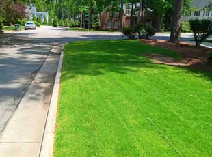 Kurt S.'s lawn service service result