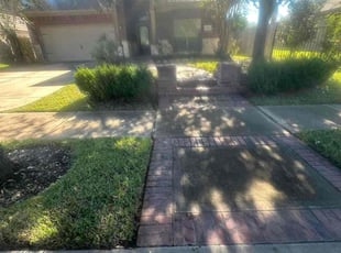 Vasega M.'s grass maintenance service result