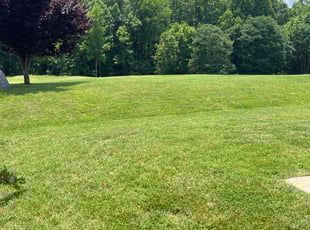 Karen C.'s turf maintenance service result