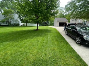 Yashie P.'s yard service service result