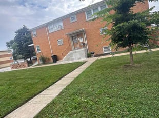 Alex M.'s grass cutting service result