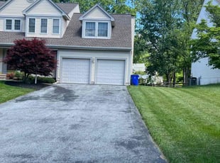 Donna G.'s turf care service result