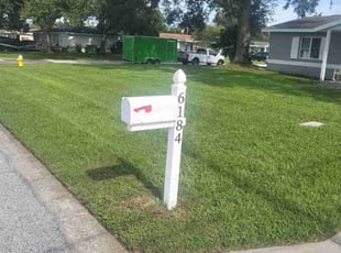 Philistin D.'s lawn care services service result