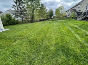 Dia O.'s lawn care service result