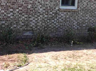 Tull B.'s Bush Trimming service result