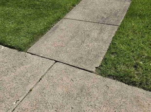 Jennifer R.'s turf maintenance service result