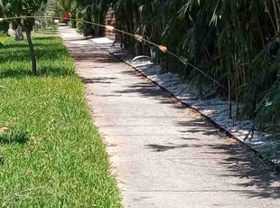Gaetana L.'s Cleanups service result