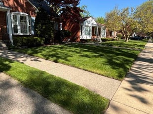 Jeanette D.'s lawn care services service result