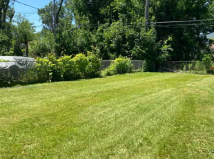 Glenn W.'s lawn maintenance service result