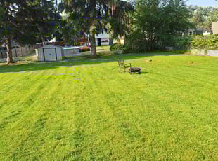 Gregory L.'s grass maintenance service result