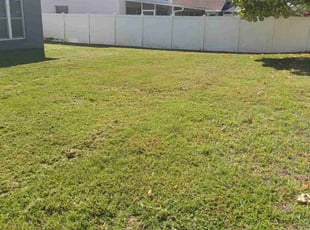 Jolene B.'s lawn service service result