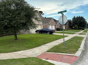 Henry M.'s lawn service service result