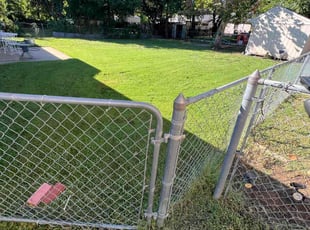 Jason B.'s turf maintenance service result