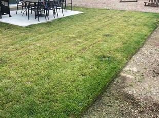 Sonya H.'s turf maintenance service result