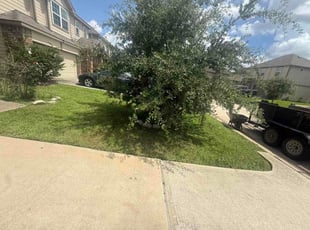 Thomas B.'s turf maintenance service result
