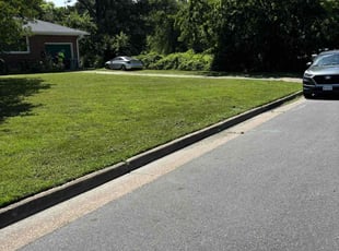 Nyesha K.'s lawn care service result