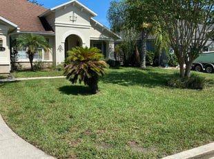 Cynthia J.'s turf care service result