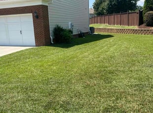 Meghan L.'s grass maintenance service result