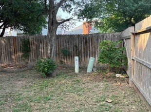 Nancy C.'s Bush Trimming service result