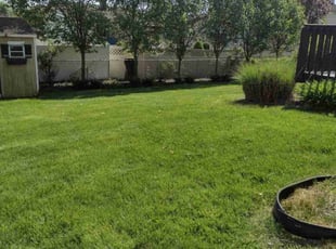 Jesus R.'s lawn maintenance service result