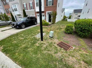 Jane C.'s lawn maintenance service result