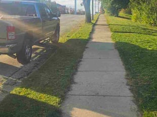 Adam K.'s lawn care service result