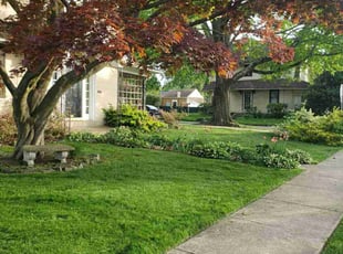 Rob M.'s lawn care services service result