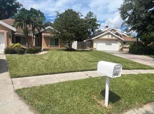 Jasmine F.'s lawn service service result