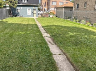 Julio D.'s turf maintenance service result