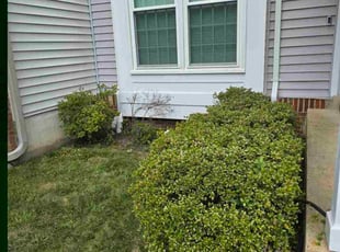 Jt J.'s Bush Trimming service result