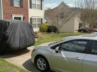 Junior A.'s lawn service service result