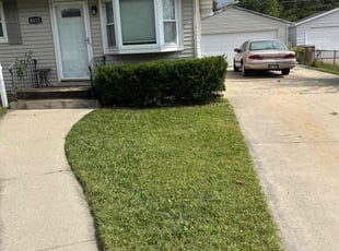Anthony L.'s Bush Trimming service result