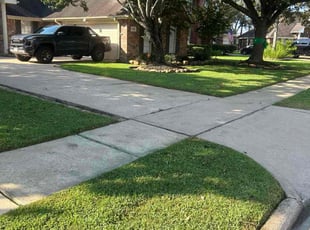 Tash V.'s landscaping service result