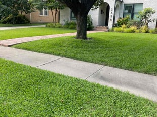Dallas W.'s turf care service result
