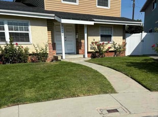 Carolyn B.'s lawn care service result