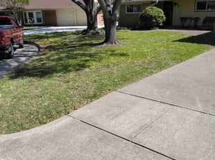 Michell L.'s lawn service service result