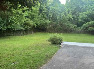 Paul M.'s grass maintenance service result