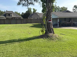 Timothy J.'s turf care service result