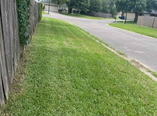 jessica B.'s lawn care services service result