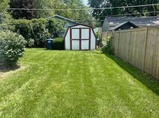 Adam H.'s grass maintenance service result