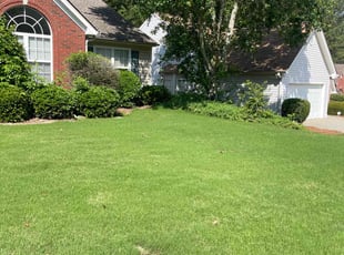 Brandy G.'s lawn care services service result