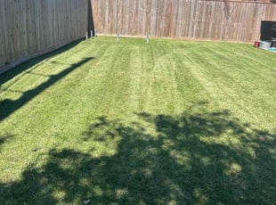 Greg F.'s lawn maintenance service result