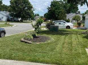 Amy D.'s grass maintenance service result
