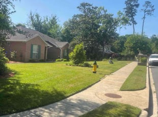 Dmytro B.'s turf care service result