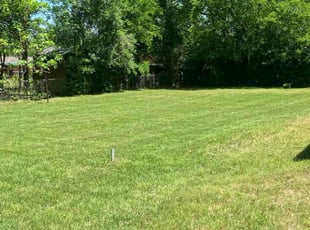 Georgeann F.'s lawn care service result
