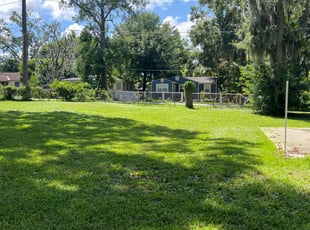 Jezail J.'s turf maintenance service result
