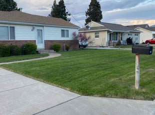 Nick W.'s lawn maintenance service result
