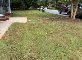 Anthony N.'s lawn maintenance service result